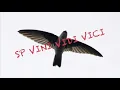 Download Lagu SUARA PANGGIL WALET VINI VIDI VICI LINK UNTUK DOWNLOAD ADA DI DESKRIPSI