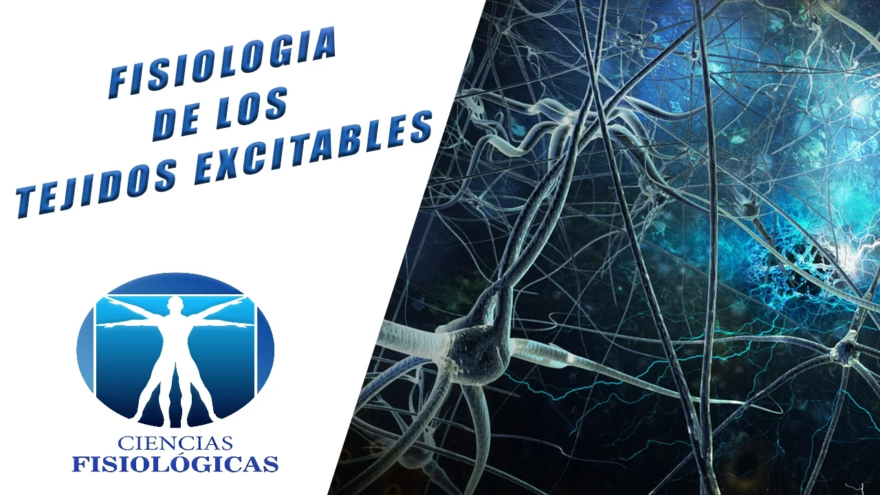 Fisiología de los tejidos excitables. Excitabilidad Nerviosa. Transmision Sinaptica