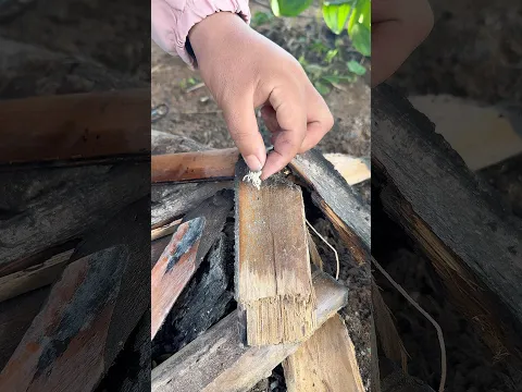 Survival Skills: NO MATCHES… NOW WHA #outdoors #campping #fire #forest