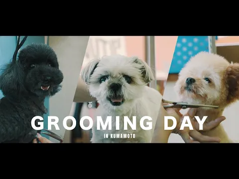 【口コミ多数】旅好きカメラマンによる高品質な写真をお届け！