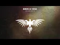 Birds of Mind  - Mindgame