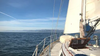 Sailing Avocet | Ventura Vacation