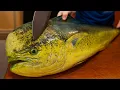 Download Lagu Amazing MONSTER Mahi Mahi Filleting Skills – Full Fish Cutting Process with Masterful Knife Skills