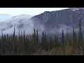 Zen Meditation Music, Reiki Music, Chakra, Relaxing Music, Music for Stress Relief, Zen ☯3434