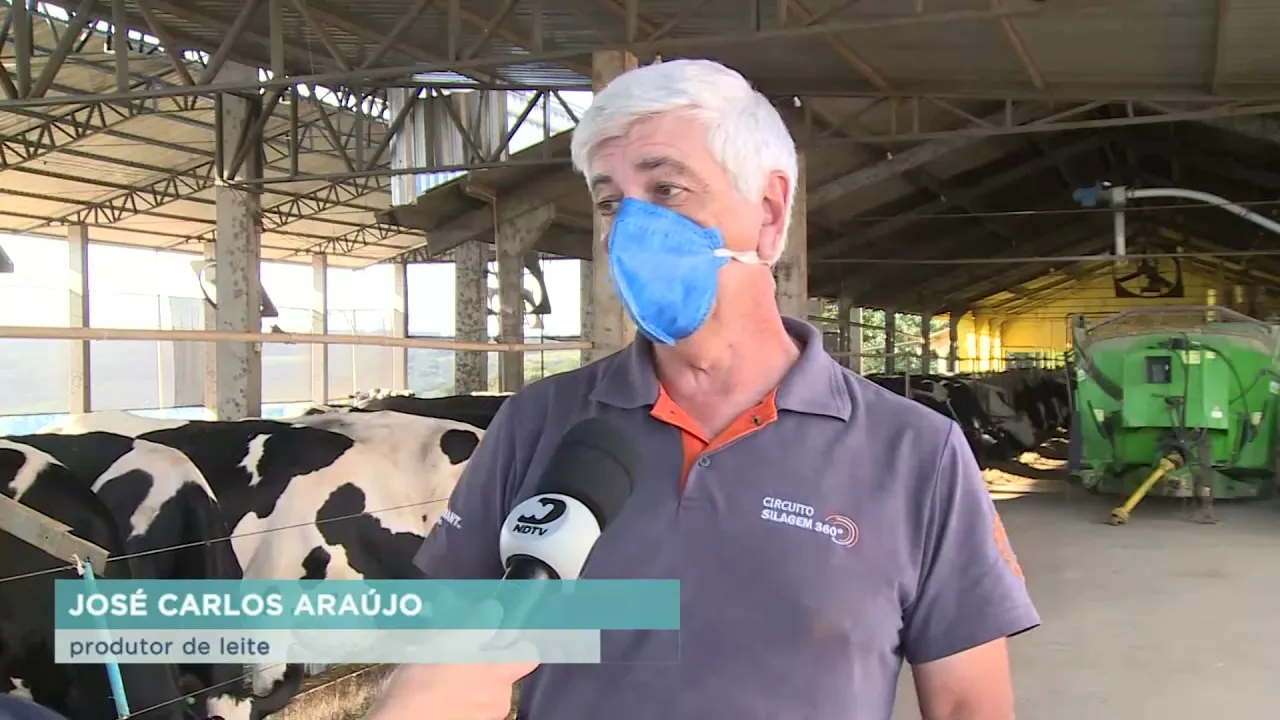 Atividade Leiteira: alto custo de produção e estiagem fazem com que produtores desistam do ramo