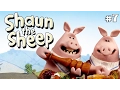 Download Lagu Saturday Night Shaun x3 Episodes | Season 1 DVD Collection | Shaun the Sheep