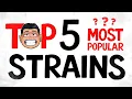 The MOST Popular CANNABIS Strains Ever