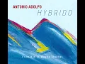 [Latin Jazz, Bossa Nova] Antonio Adolfo - Hybrido: From Rio To Wayne Shorter (2017)
