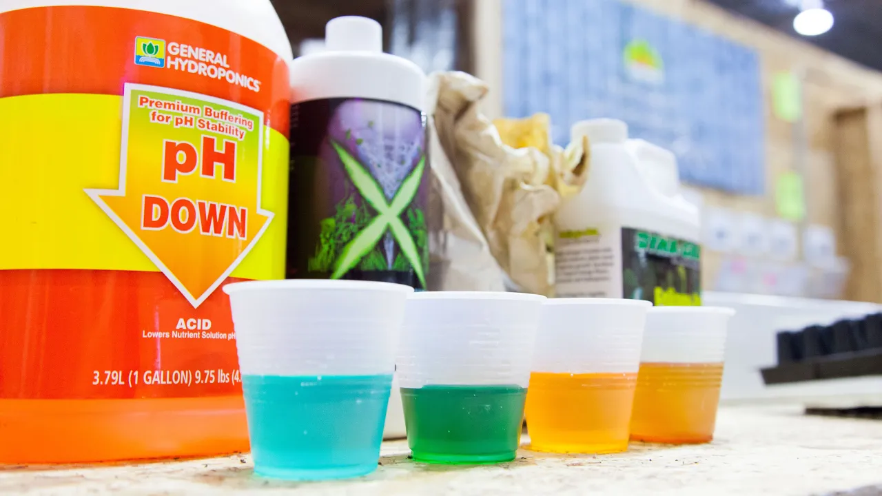 Hydroponic Nutrients Guide: EC, pH & Fertilizer Mixing