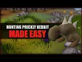 Quick Guide to Hunting Prickly Kebbit in OSRS Hunter Guide Hunters Rumours
