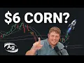 Chasing 6 Corn Opportunity or Illusion