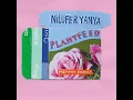 Nilufer Yanya - Florist