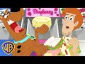 Be Cool Scooby-Doo Professional Foodies wbkids