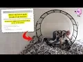 10 Creepiest Craigslist Stories That Actually Happened