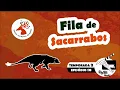 Fila de Sacarrabos Mangoose queue