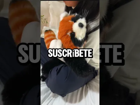 SI TIENES ESTE PELUCHE EN VERANO NUNCA LE DIGAS ESTÁ FRASE