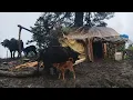 Download Lagu This Is Himalayan Village Life During The Heavy Rainy Season | Hard working People CompilationVideo 