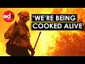 Download Lagu Terrifying Footage of Deadly Wildfires Sweeping Across Europe