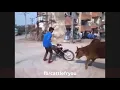 Download Lagu SALAM ALAIKUM MEME SMALL VIDEO/BASS GR