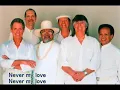 The Association - Never My Love (with Lyrics)