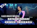 Download Lagu LAGU JOGET MINANG - BATANG KENARI REMIX TERBARU