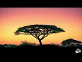 Mas Musiq, Lawd Weezy & DJ Maphorisa - Amalanga ft. TO Starquality, Chley & Kabza De Small (Lyrics)