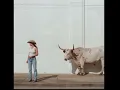 Mexico Honey Kacy Musgraves clean version 