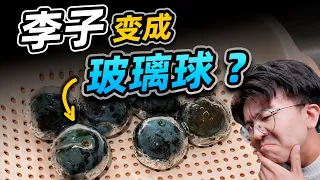 刚买的李子丢进水里，直接长出了一层透明壳？？🤨#知識分享 #科學揭秘 #科學 #科普 #冷知識 #物理 #生活