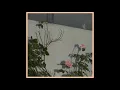 Soft Kill - Swaddle