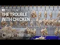 Download Lagu The Trouble with Chicken (full documentary) | FRONTLINE