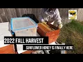 Download Lagu 2022 Fall Harvest - Couple Bee Shakes