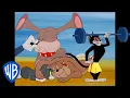 Download Lagu Tom \u0026 Jerry | Cats V.S. Dogs | Classic Cartoon Compilation | @wbkids​