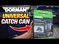 You NEED THIS Dorman Universal Catch Can Everything You Need