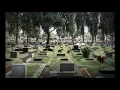 Download Lagu Story WhatsApp dan Instagram Berziarah Ke Makam Orang Tua #ziarah #kubur