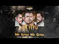 Los Buitres De Culiacán Sinaloa - Me Gusta Me Gusta