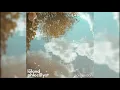 lōland x Phlocalyst - midori