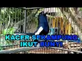Download Lagu TERAPI RINGAN BUAT KACER STRES DAN MACET BUNYI