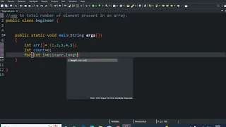 java program to count total number of elements present in the array