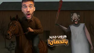 جراني الهروب بالحصان   دندنها