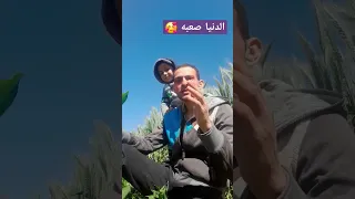 الدنيا دواره ياسبع الليثي ضحك اكسبلور كوميديا شعر 
