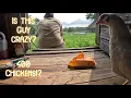Download Lagu A guy with 400 Chicks | Repost