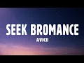 Download Lagu Avicii - Seek Bromance (Lyrics) [Tim Berg]