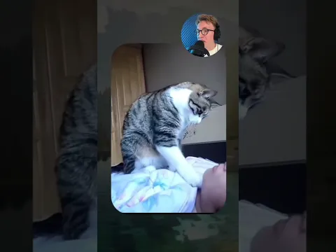 ВИРУСНЫЕ ВИДЕО / Собака водит машину 😂