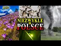 Niezwykłe Zjawiska Przyrodnicze POLSKI!