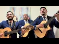 Estoy Perdido Tres en Punto Trio Los Tres ASES