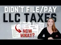 I Didn t Pay My CA LLC Tax or File My LLC Tax Return - FTB Notice Demand for LLC Return of Income