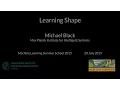 Optical Flow - Michael Black