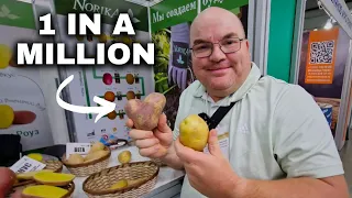 I Went to a RUSSIAN POTATO Convention: PotatoHorti 2024