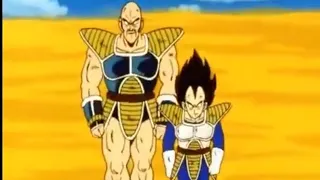 دراغون بول زد بيكولا ضد مقاتلين السيابي وعوده فجيتا ونابا 