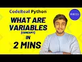003 What is a Variable in Programming Explained UNDER 3 Minutes 5 Minute Coding Part 1